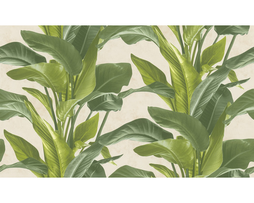 Behang met tropische bladeren