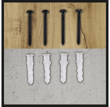 Schroeven en pluggen voor het bevestigen van objecten.