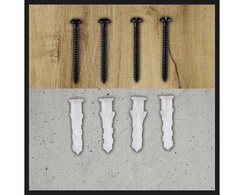 Schroeven en pluggen voor het bevestigen van objecten.