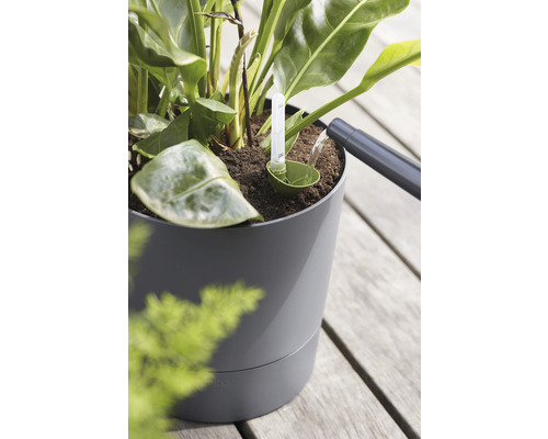 Een kamerplant in een grijze bloempot wordt bewaterd met een waterniveau-indicator.