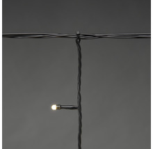 Lichtsnoer met een warmwitte LED aan een zwarte kabel bevestigd