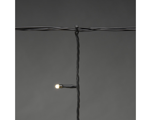 Lichtsnoer met een warmwitte LED aan een zwarte kabel bevestigd