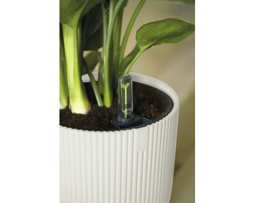 Close-up van een witte bloempot met waterniveau-indicator en plant