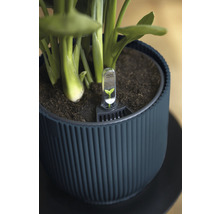 Bloempot met vochtmeter voor plantverzorging