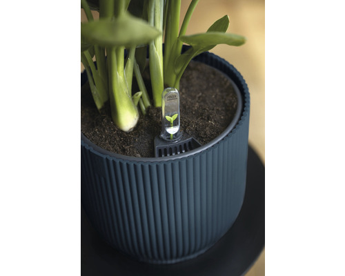 Bloempot met vochtigheidsmeter in de grond