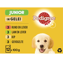 Pedigree Junior hondenvoer in gelei met rund, lever, lam, gevogelte en kip, 12 maal 100 gram