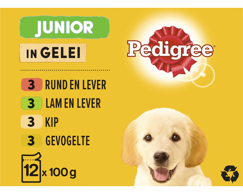 Pedigree Junior hondenvoer in gelei met rund, lever, lam, gevogelte en kip, 12 maal 100 gram