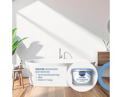 Badkamer met bad en Histor Monodek badkamerverf