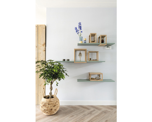 Lichte woonkamer met groene planken, decoraties en kamerplant in mand