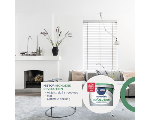 Lichte woonkamer met open haard en een emmer verf van het merk Histor Monodek Revolution