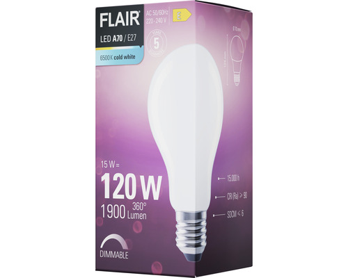 Flair ledlamp A70 E27, 15 watt, koudwit