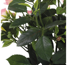 Kunstbloem Potroos, roze