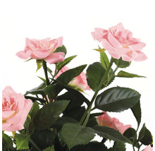 Kunstbloem Potroos, roze