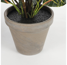 Kunstplant Croton in pot H 73 cm-thumb-2