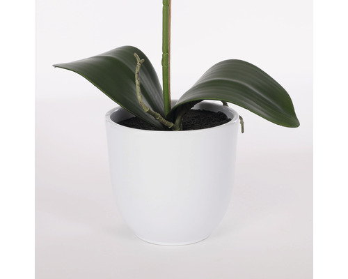 Kunstmatige orchidee in witte pot