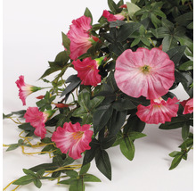 Kunstmatige klimmende winde met roze bloemen en groene bladeren.