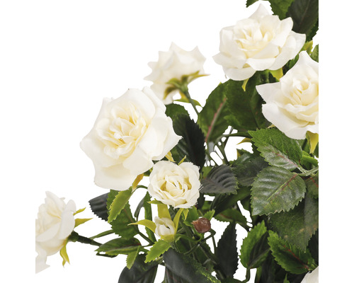 Close-up van witte rozen met groene bladeren