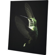 Canvas schilderij met kolibriemotief
