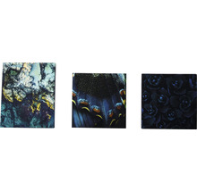 Decoratieve panelen met natuurmotieven