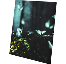 Canvas schilderij met vlindermotief