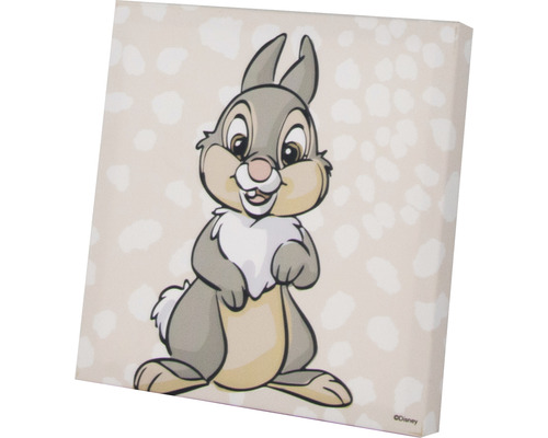 Canvas schilderij met konijnmotief