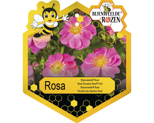 Etiket van de Bijenweide Roos Rosa met roze bloemen