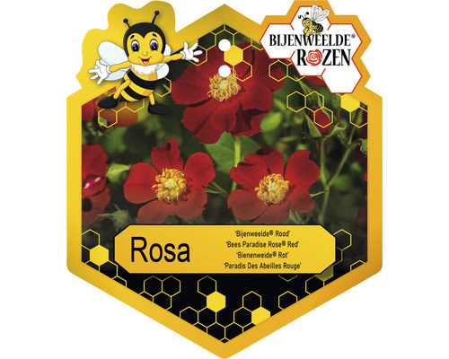 Etiket van de Bijenweelde Roos met rode bloemen