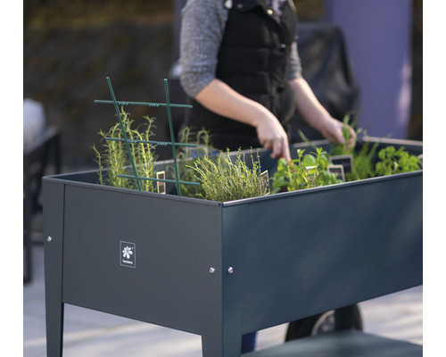 Verhoogde tuinbak met kruiden en planten in de tuin
