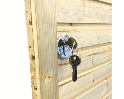 Slot met sleutel op een houten deur