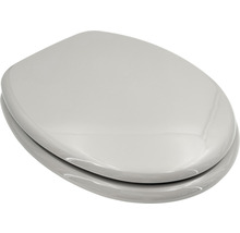 Toiletdeksel van sanitair keramiek