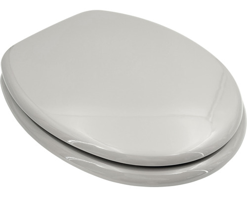 Toiletdeksel van sanitair keramiek