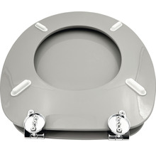 Toiletbril met verchroomde scharnieren en bevestiging