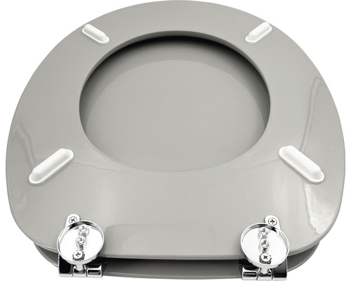 Toiletbril met verchroomde scharnieren en bevestiging