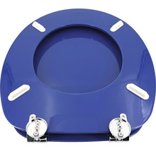 Toiletdeksel met scharnieren