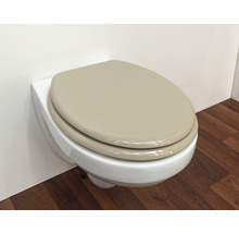 Wandcloset met diepspoeling en toiletbril