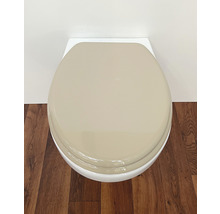 Foto van een toilet met een gesloten toiletdeksel