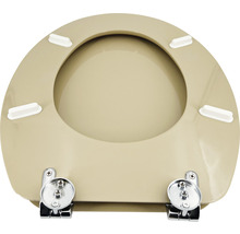 Toiletbril met bevestiging