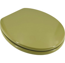 Toiletzitting van kunststof