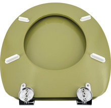 Toiletdeksel van kunststof met chromen beslag