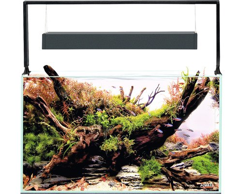 AQUAEL Aquariumcombinatie UltraScape 60 met LED verlichting ca. 64 L excl. onderkast houtlook 60x30x36 cm