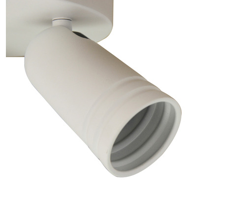 Witte plafondspot voor binnenshuis