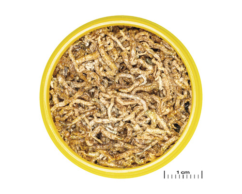 Gedroogde meelwormen in een blik als vogelvoer