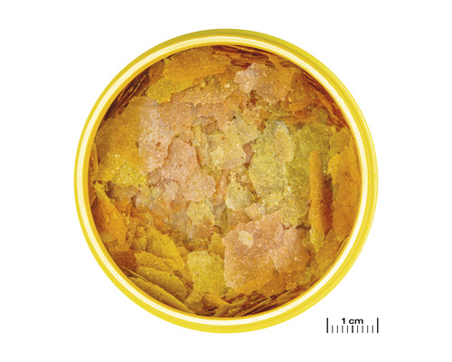 Visvoer vlokken in een pot