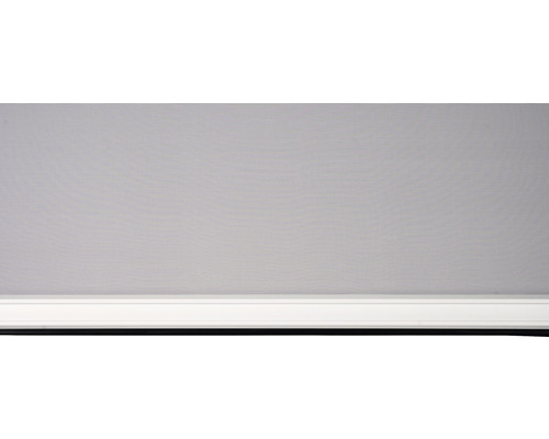 Insectenhor met frame voor raam