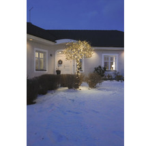 Verlichte boom voor een woonhuis in de wintertuin.