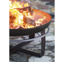 Vuurschaal met brandend hout op een metalen standaard.
