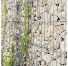 Schanskorfmuur met stenen en planten