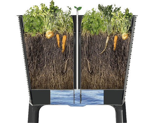 Dwarsdoorsnede van een verhoogde tuinbak met planten, wortelen en een waterreservoir voor irrigatie