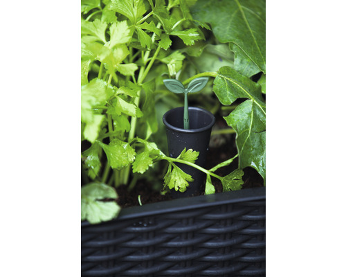 Bewateringssysteem voor planten in de tuin.