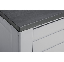 HOME & GARDEN Opbergbox Aik kunststof grijs 680 L